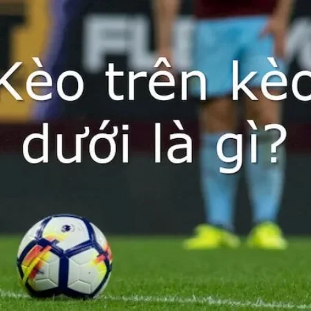 Kèo trên là gì kèo dưới là gì – Giải đáp chi tiết về chúng